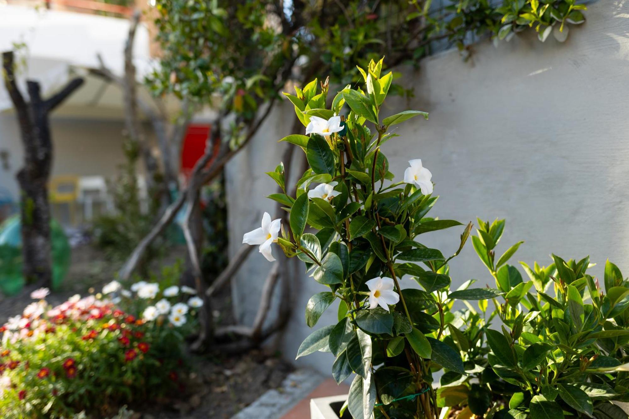 B&B Casa Gagliardi Matera Exterior foto